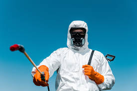 Professional Pest control in Horseheads North, NY